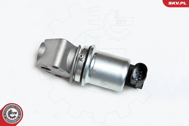 EGR Valve